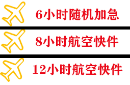 音布鲁克机场空运快递公司,专业空运当天件